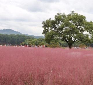 사용자업로드이미지