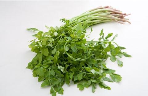 사용자업로드이미지