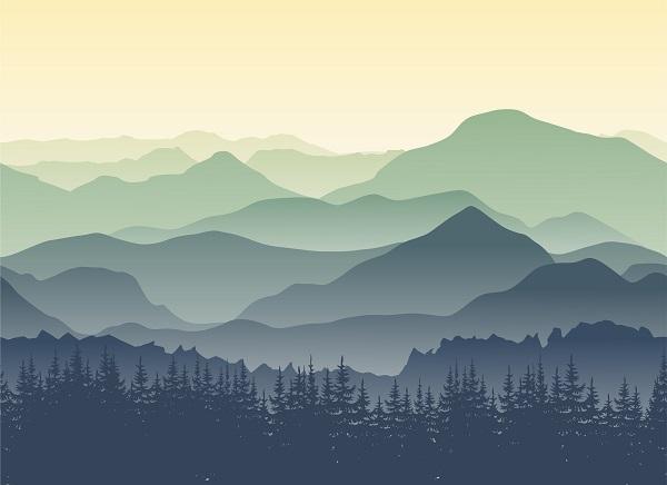 사용자업로드이미지