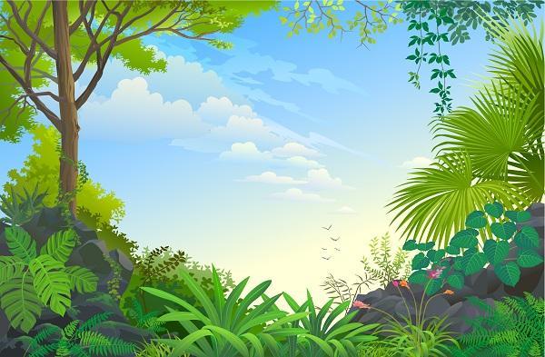 사용자업로드이미지