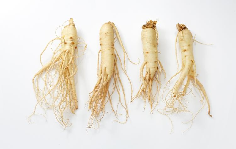 사용자업로드이미지