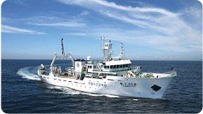 사용자업로드이미지