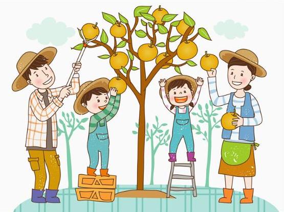 사용자업로드이미지