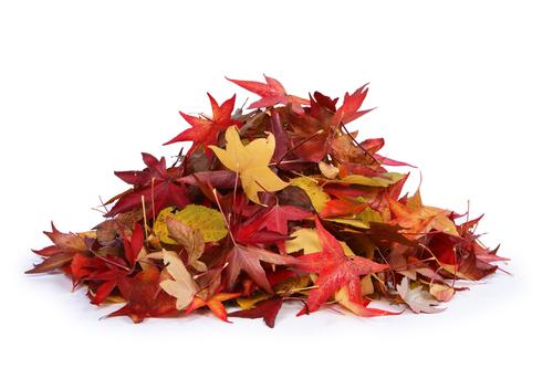 사용자업로드이미지