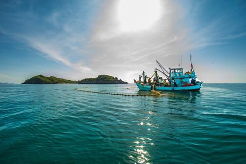 사용자업로드이미지