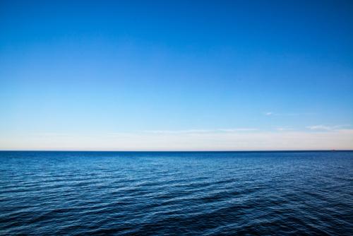 사용자업로드이미지