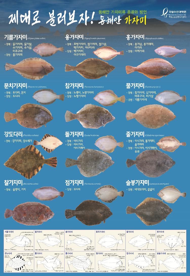 사용자업로드이미지