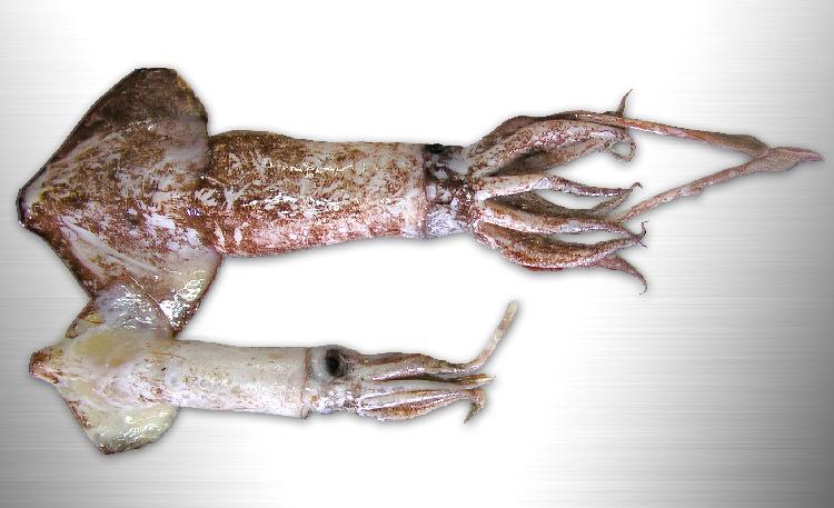 사용자업로드이미지