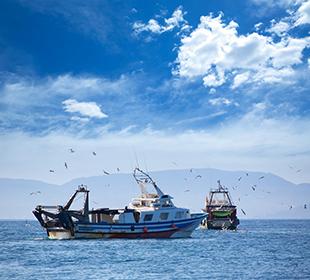 해양제안이미지