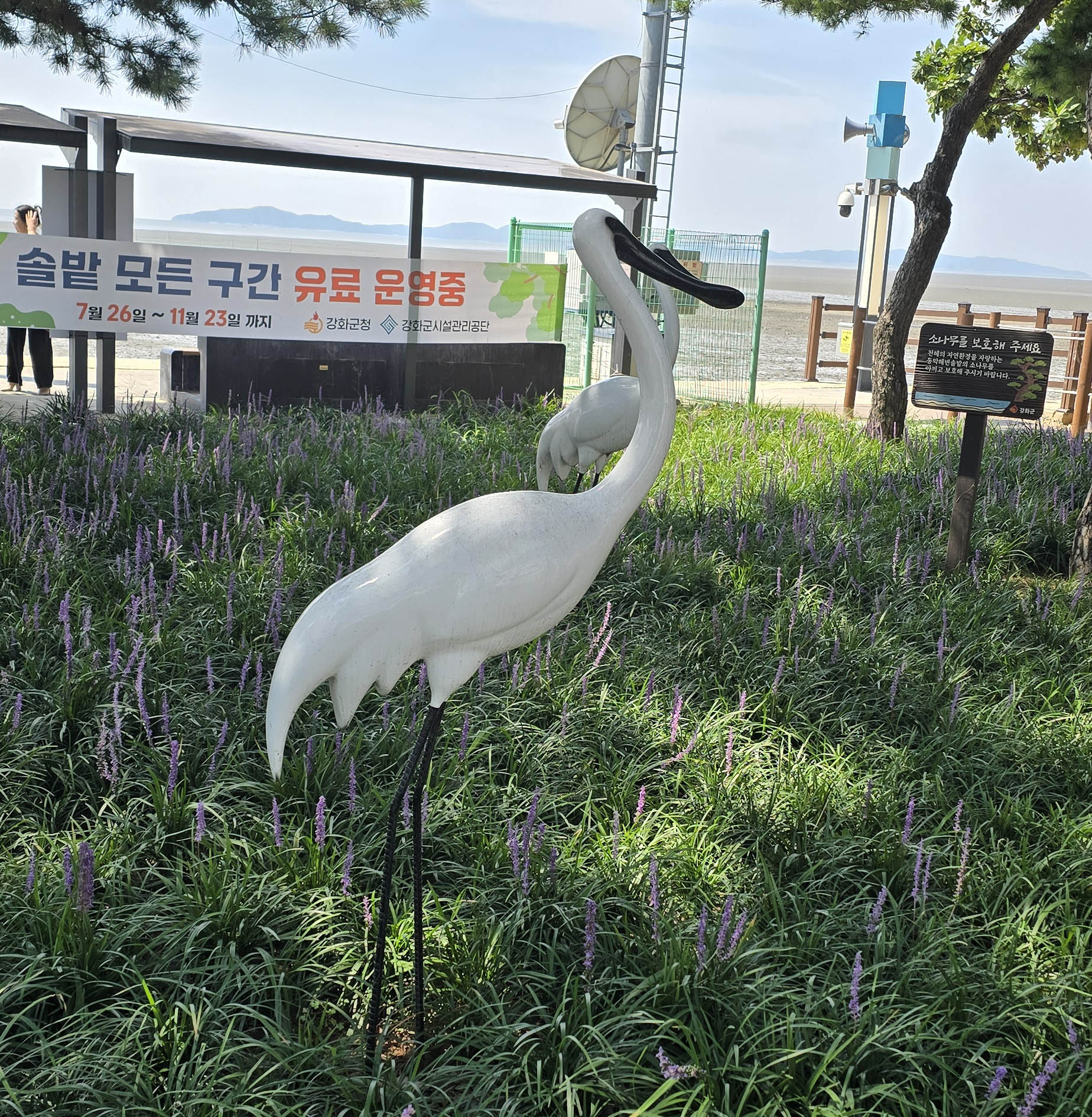 저어새 조형물(1)