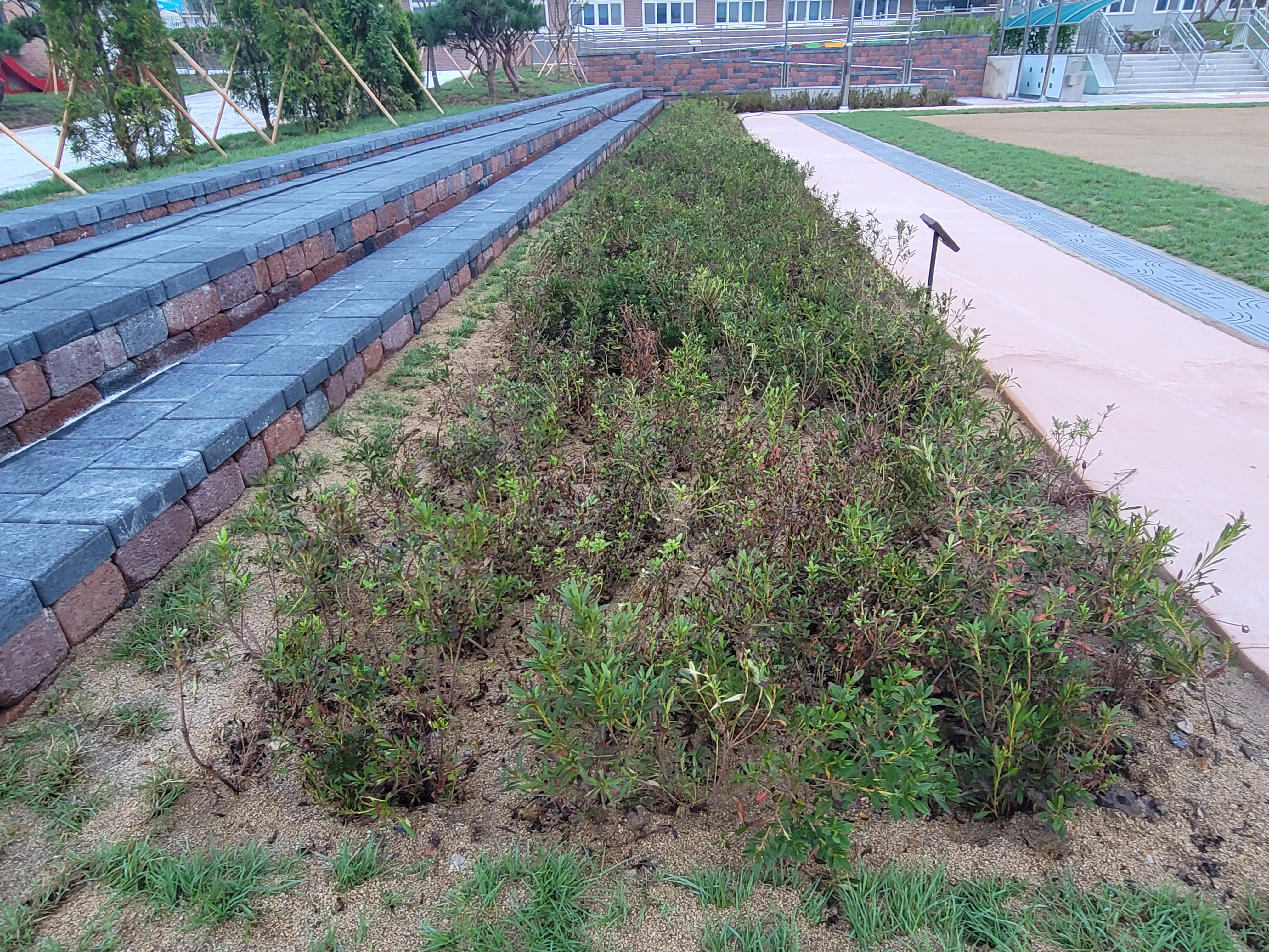 응원석과 운동장으로 이어지는 곳에 화단이 있어 아이들이 쉬면서 응원하기 불편함
