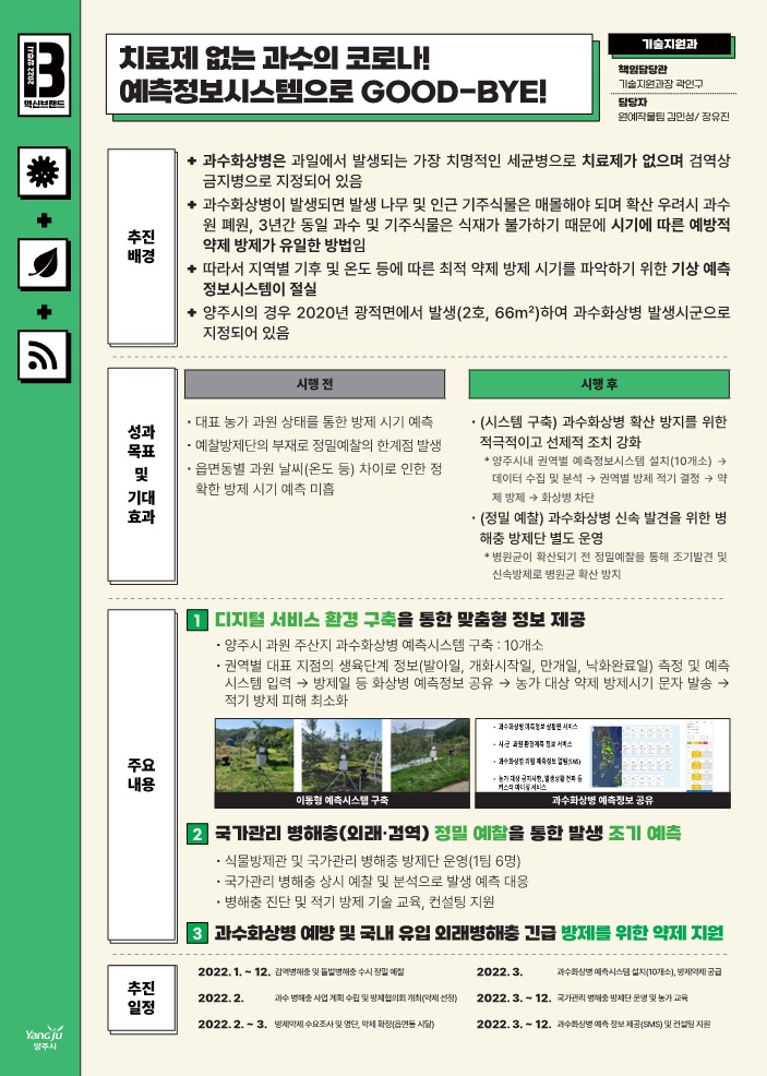 과수의 코로나 치료