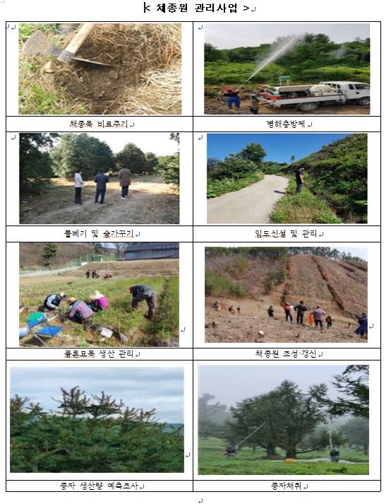 채종원사업