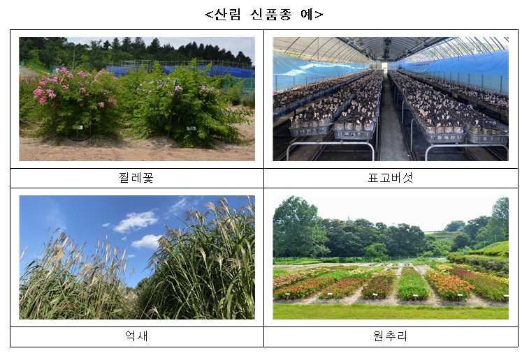 산림 신품종 예