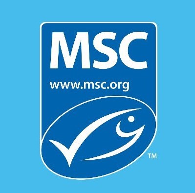 msc