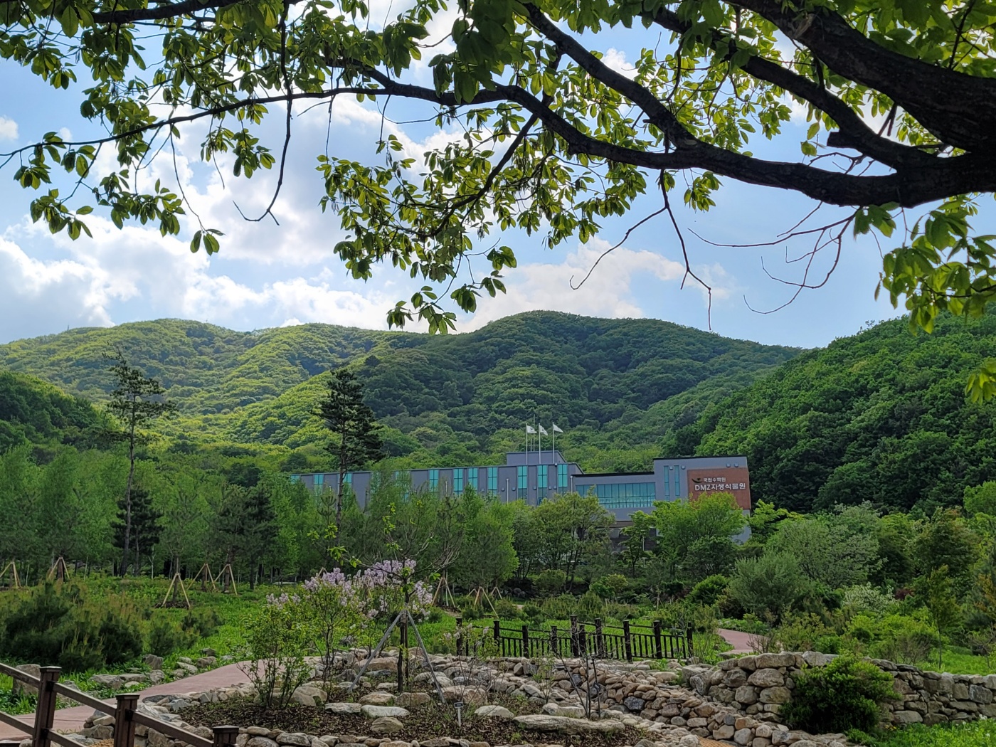 국제연구센터