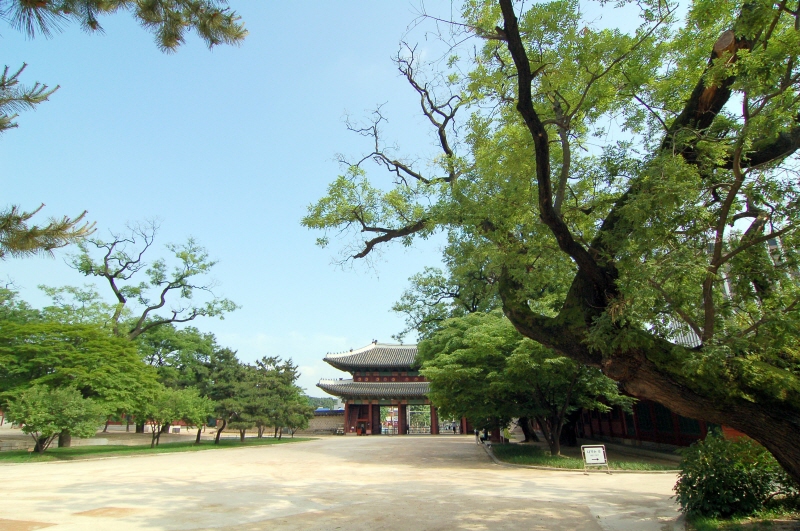창덕궁