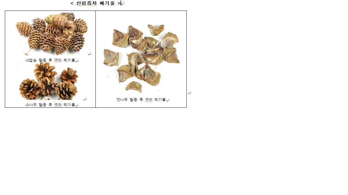 산림종자 폐기물