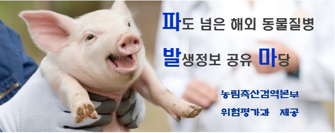 파발마사진