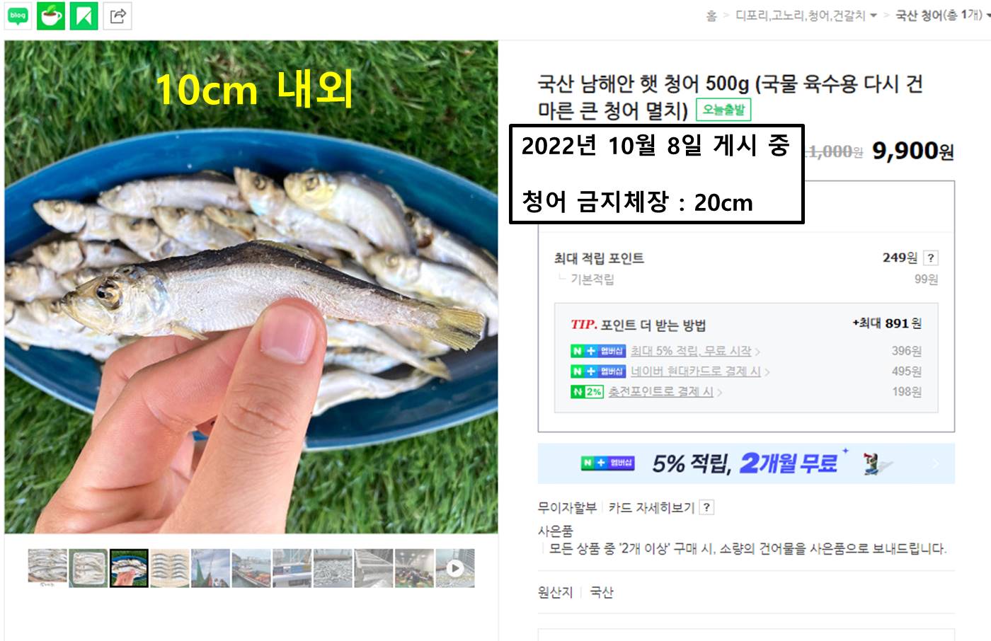 체장미달 청어 판매사진1