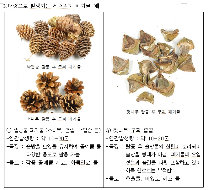 대량으로 발생되는 산림종자 폐기물 예