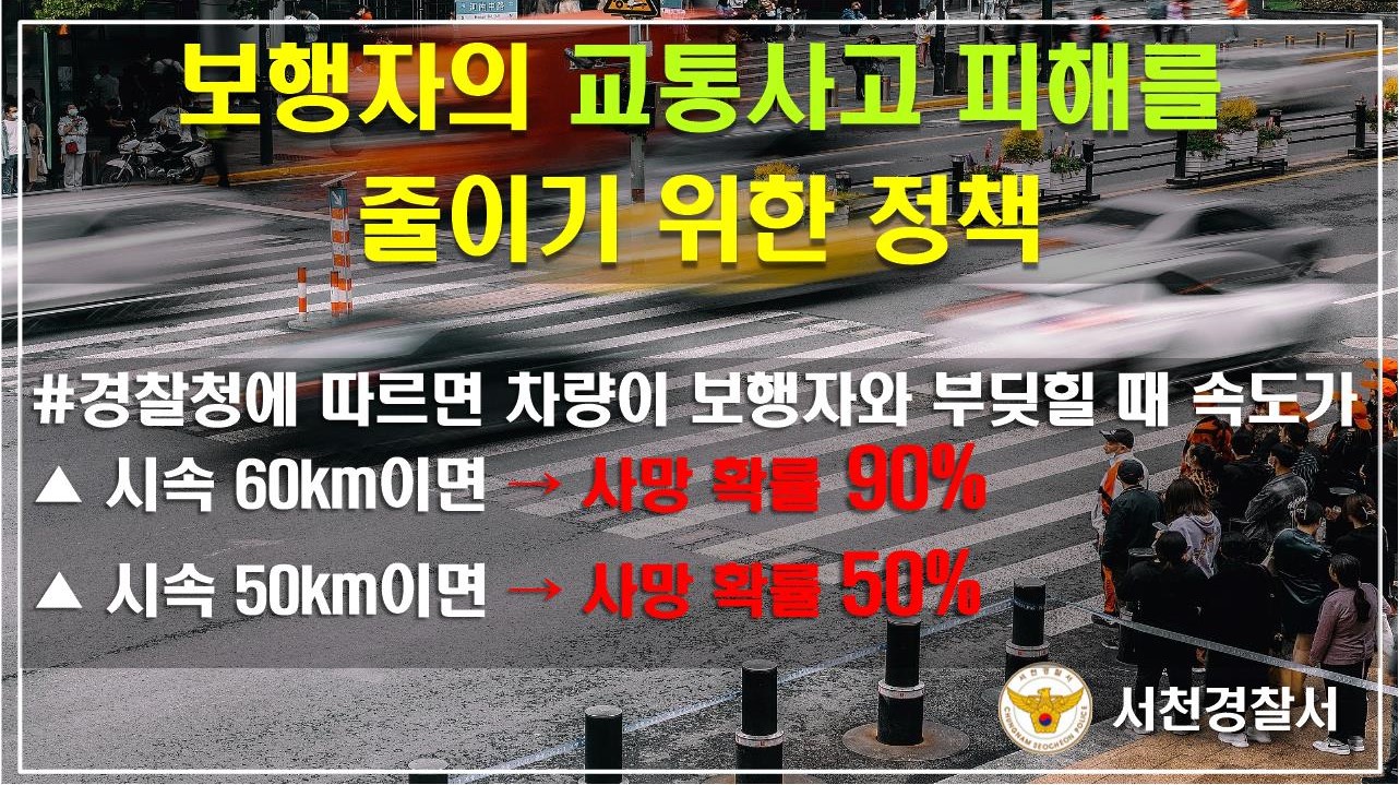 보행자의 교통사고 피해를 줄이기 위한 정책