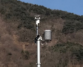 가