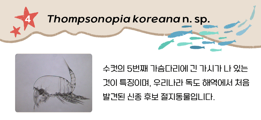 절지동물(Thompsonopa koreana n. sp.)