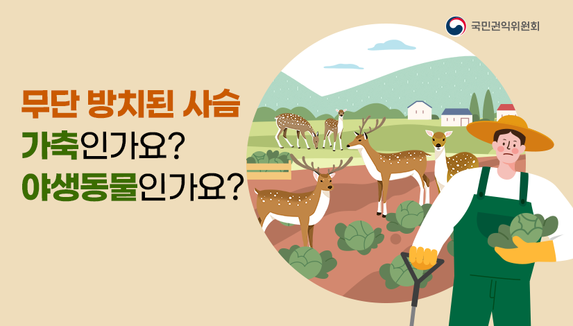 무단 방치된 사슴 가축인가요? 야생동물인가요?
