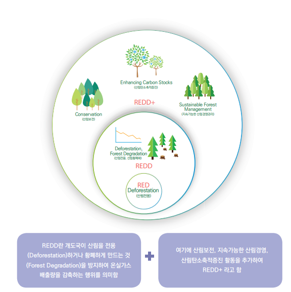 REDD+의 개념 모식도
