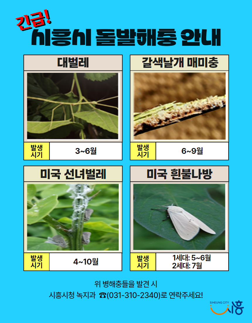 돌발해충