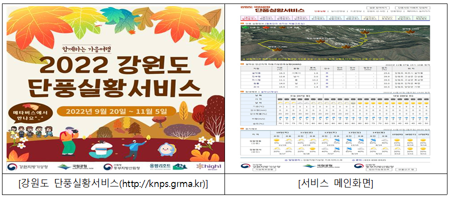 2022년 강원도 단풍실황서비스 이미지입니다.