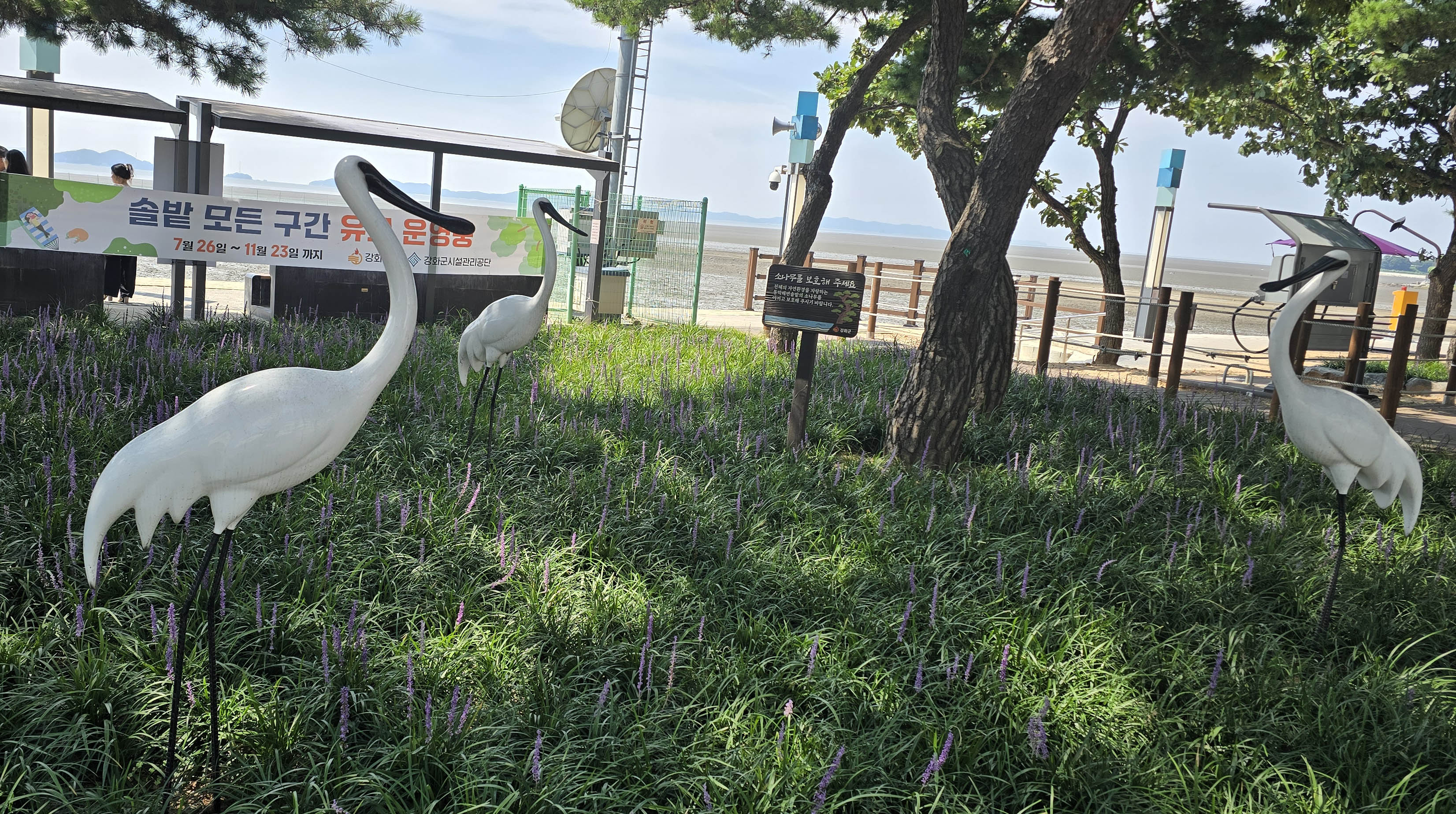 저어새조형물(2)