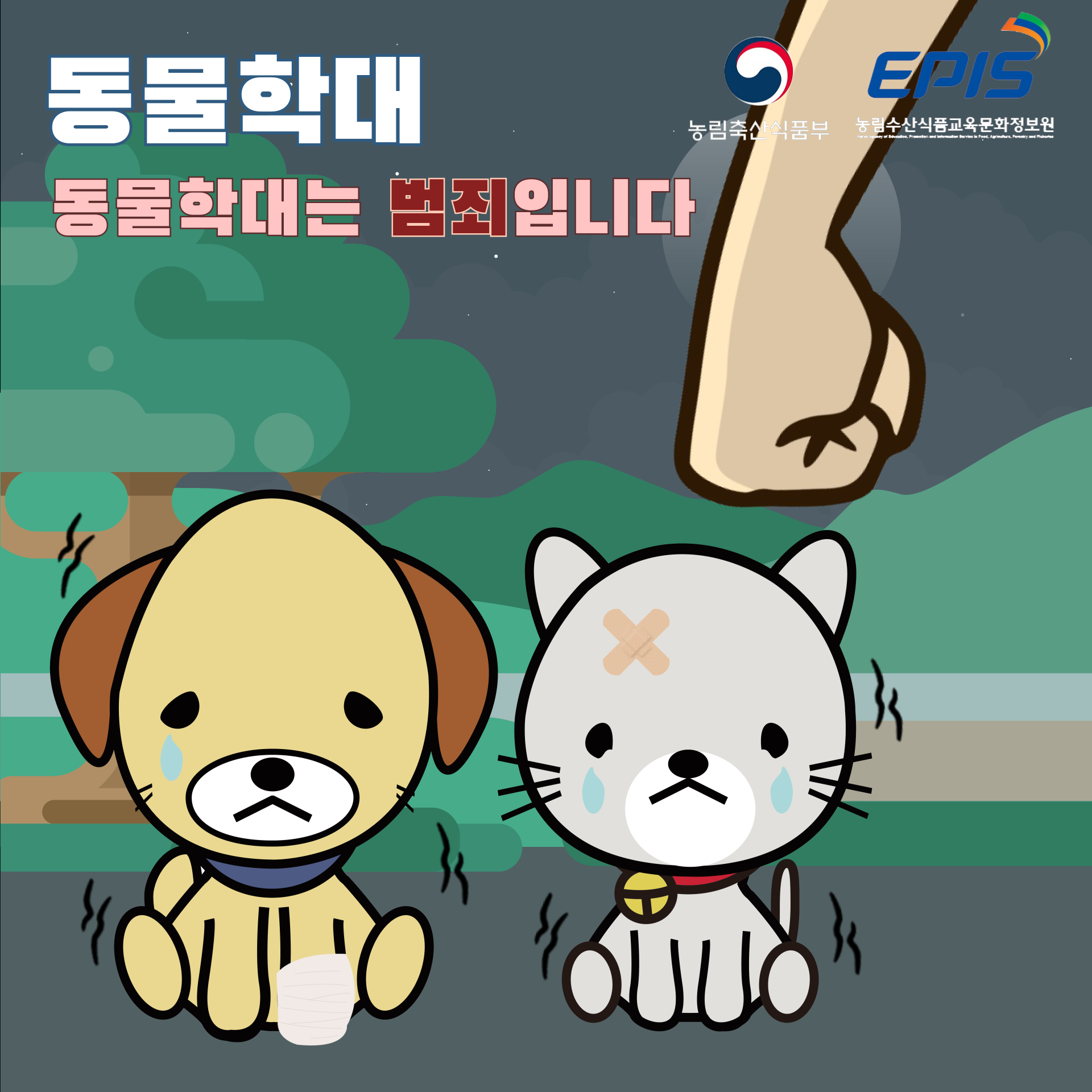 생명의 무게는 모두 같은데 곳곳에서 벌어지고 있는 동물 학대