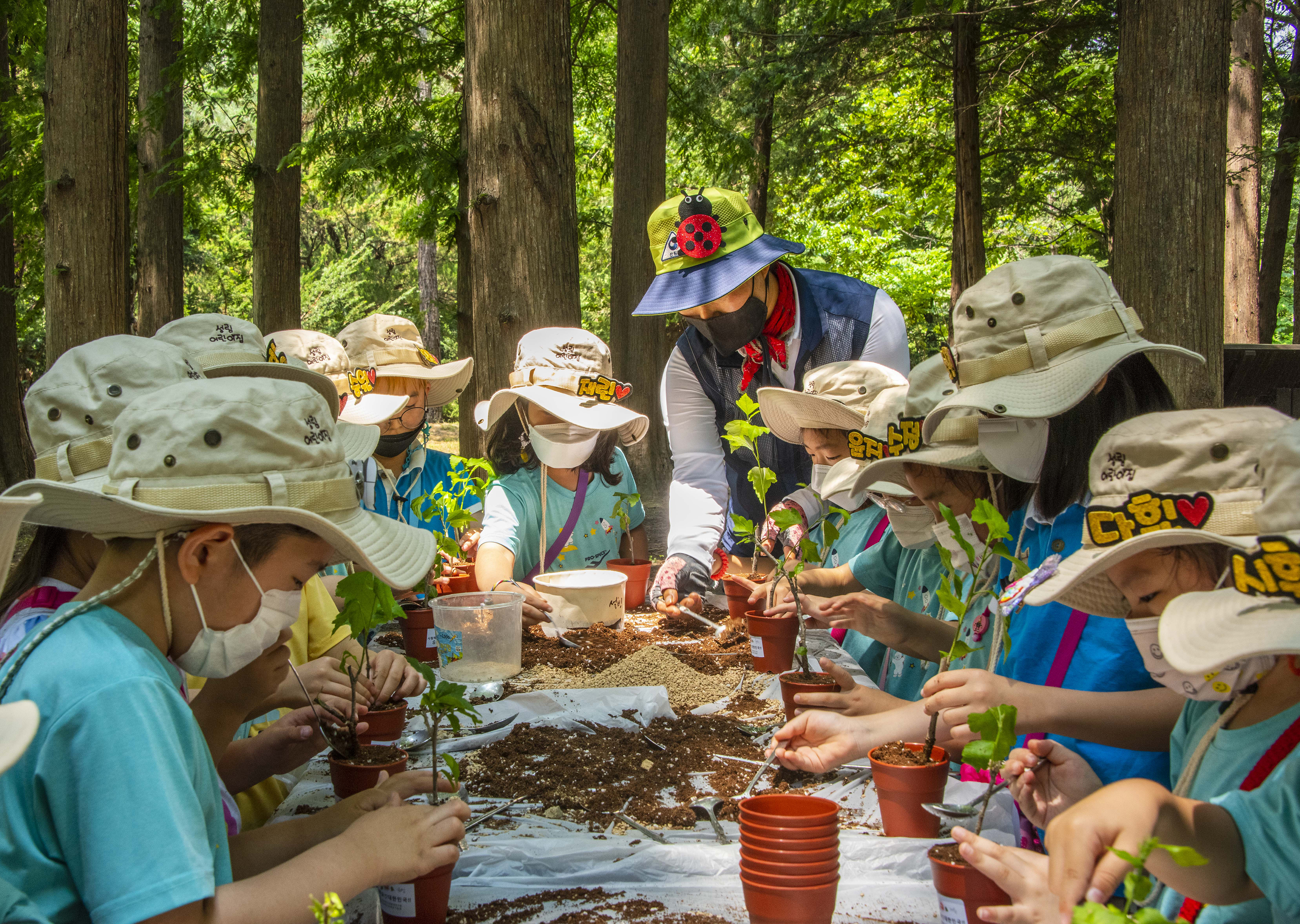산림교육 및 산림치유