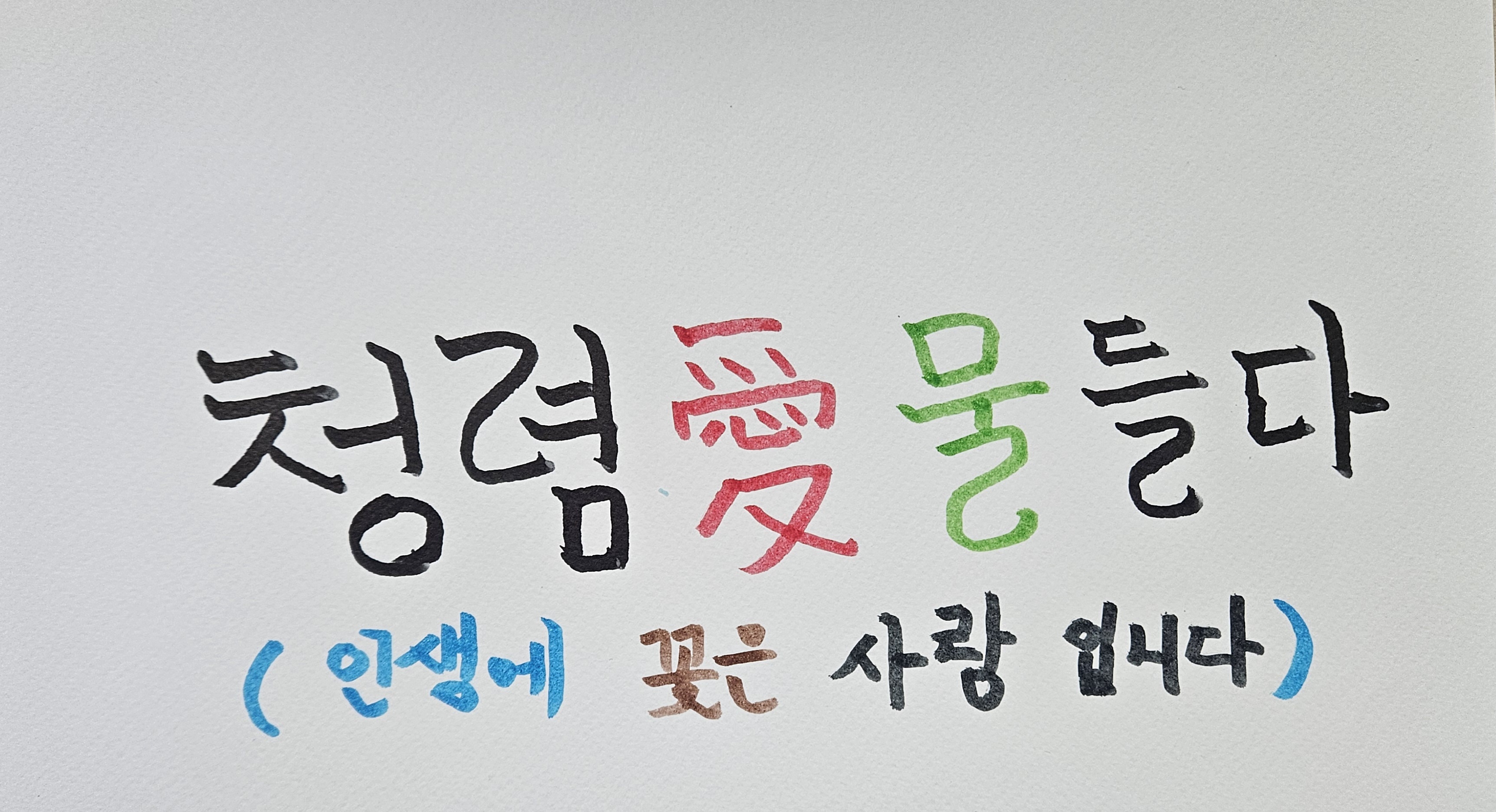 청렴愛(애)물들다